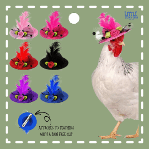 Chicken Hat (or for other small animals)