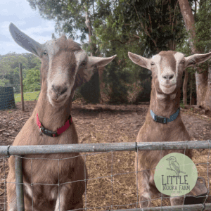 Brian and George Cushion Cover