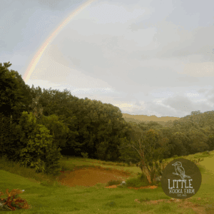 Somewhere over the Rainbow Cushion Cover