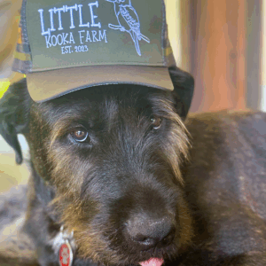 Little Kooka Farm Truckers Cap